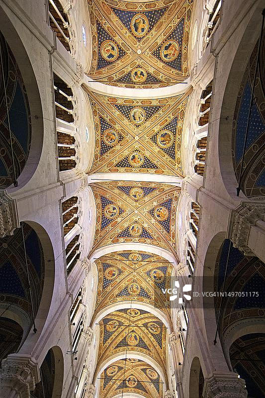 圣马蒂诺大教堂，拱形天花板，内部，卢卡，托斯卡纳，意大利图片素材