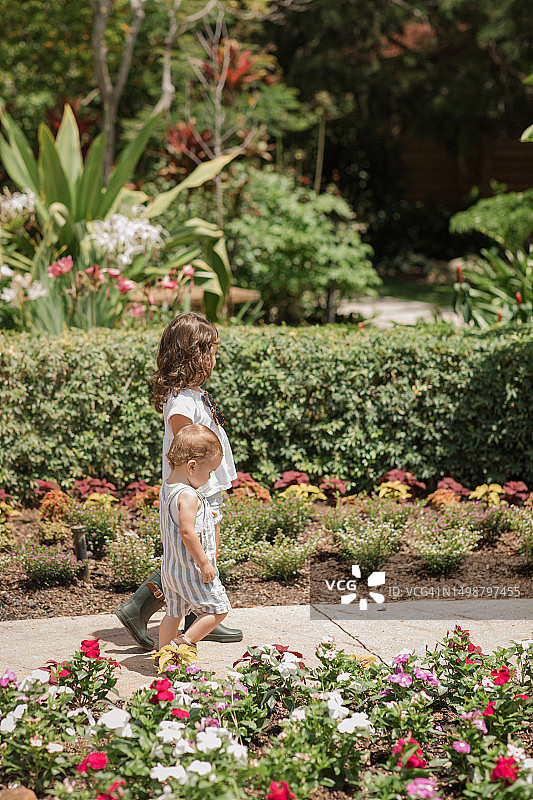 生活方式一对年轻的兄弟姐妹在佛罗里达州花园的西棕榈滩牵手散步，穿着鼠尾草绿和白色休闲夏装，古巴裔美国人4岁的蹒跚学步的女孩和1岁的男婴都是棕色头发图片素材