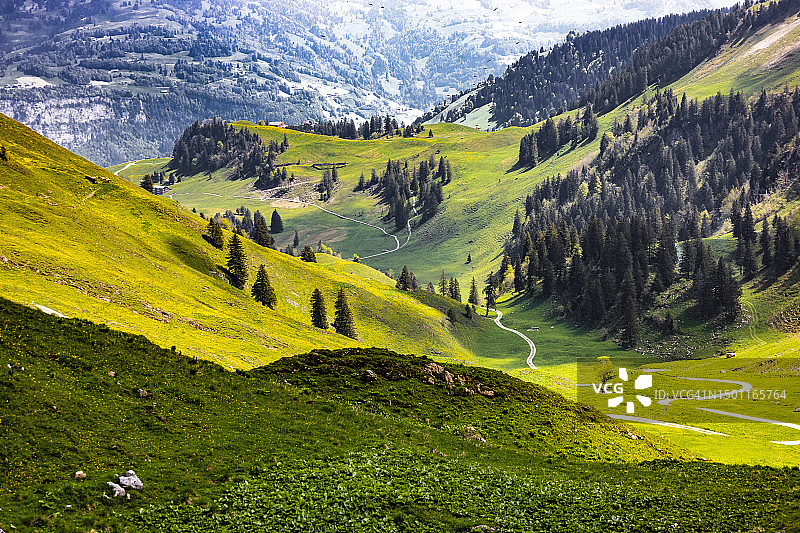 风景秀丽的景观和山脉，莫沙赫，瑞士图片素材