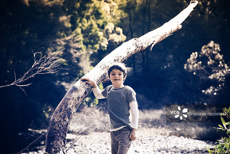 小男孩在大自然的倒下的树上玩耍图片素材