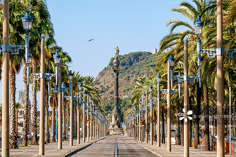 西班牙巴塞罗那的哥伦布纪念碑和棕榈树街道图片素材
