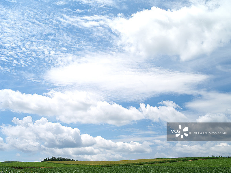 蓝天映衬下的农田美景图片素材