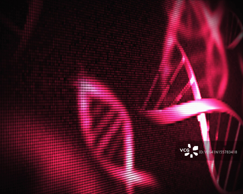 粉红色的DNA螺旋图片素材