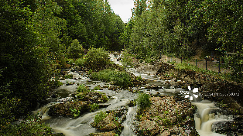 森林中小溪在树林中流动的风景图片素材