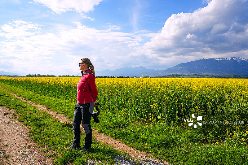 一位年长的妇女带着相机走在油菜地的小路上，背景是群山和蓝色多云的天空。它位于欧洲斯洛文尼亚的卡姆尼克附近。图片素材