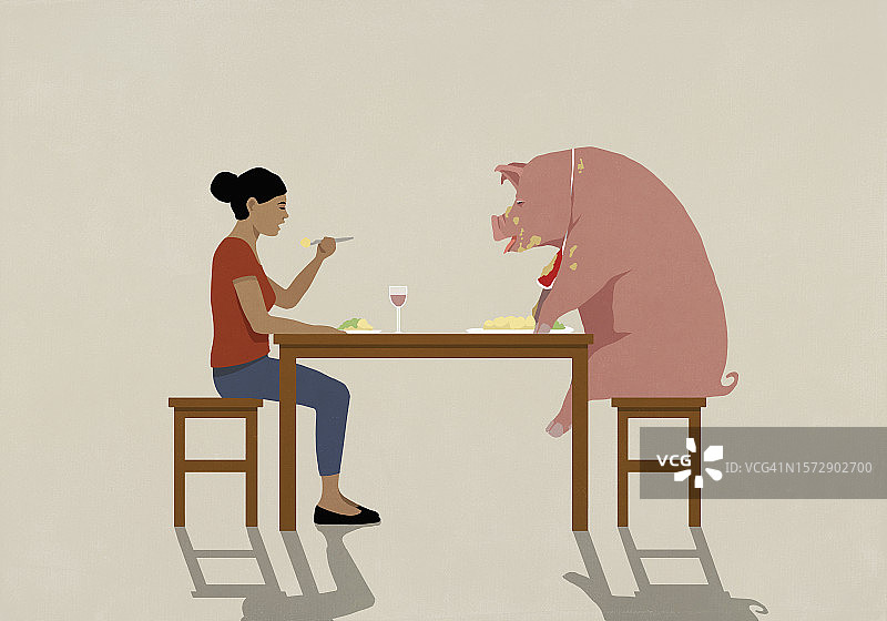 女人和邋遢的猪在餐桌上吃饭图片素材