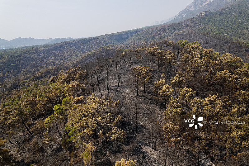 土耳其安塔利亚附近凯梅尔的森林大火图片素材