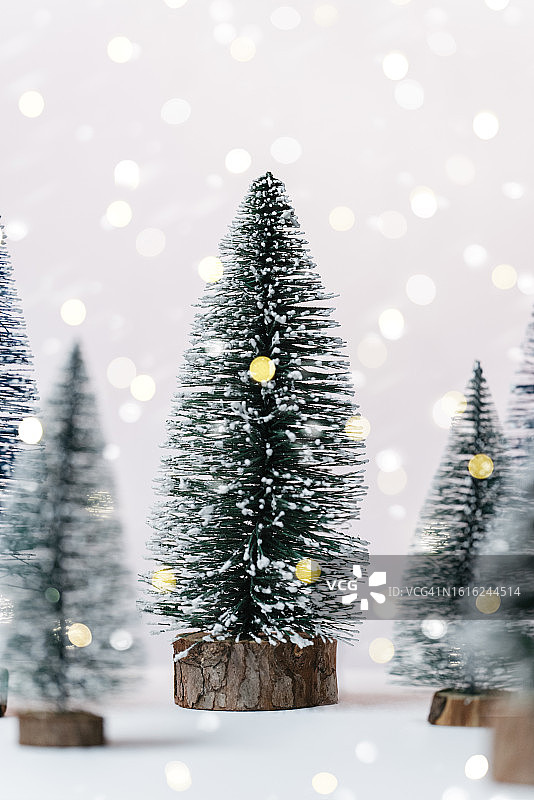 圣诞节可爱的小树在雪。图片素材