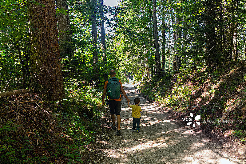 爸爸和小男孩在森林里的小路上徒步旅行图片素材