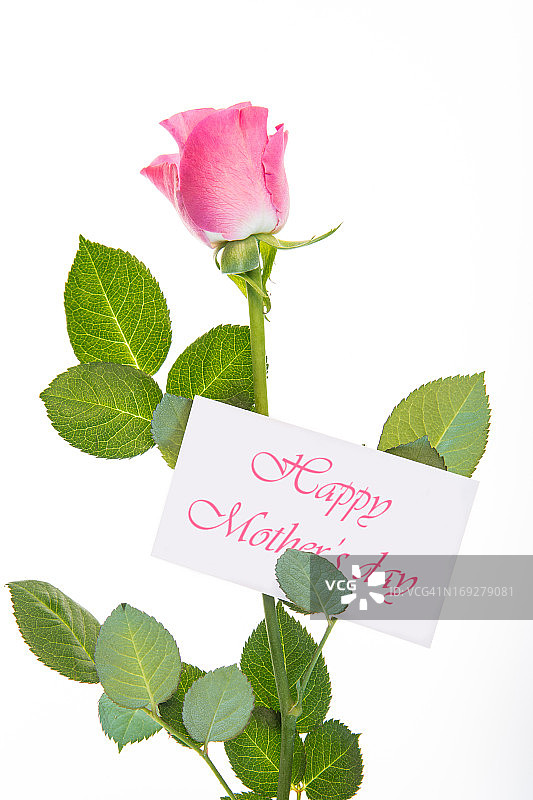 带茎和叶的粉红玫瑰和母亲节祝词图片素材