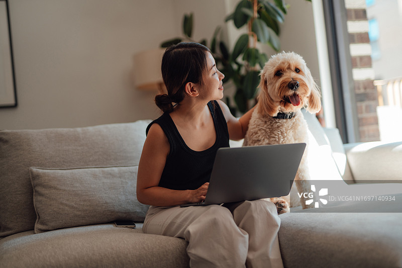 年轻的亚洲女子在沙发上使用笔记本电脑时抚摸着她的狗图片素材
