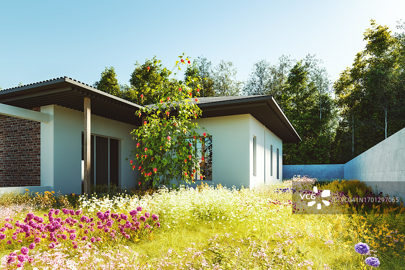现代化的房子，花园杂草丛生，满是野花图片素材