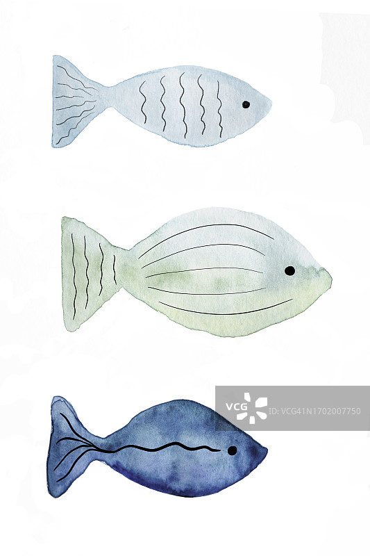 用水彩画的三条鱼图片素材