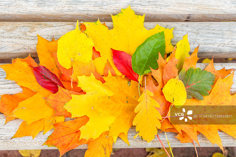 公园长椅上一堆五颜六色的秋叶图片素材