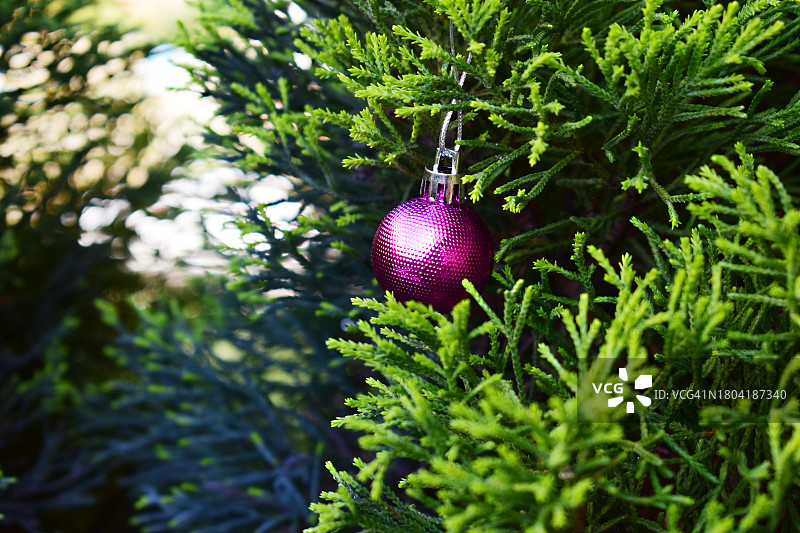 冷杉树上的圣诞装饰球图片素材