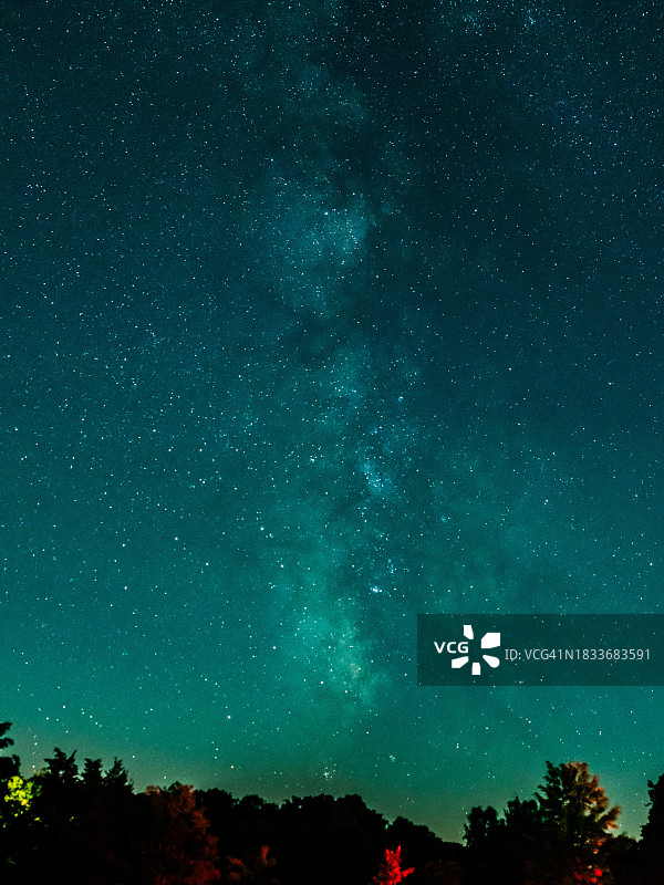 夜间，加拿大安大略省利明顿，树木的低角度剪影映衬着天空图片素材