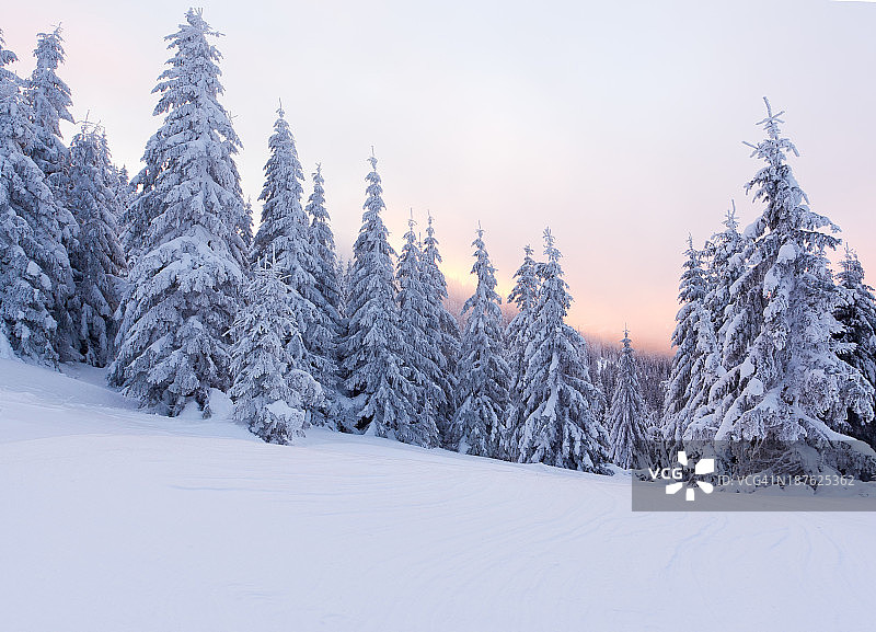 美丽的冬季风景在山上。日出图片素材
