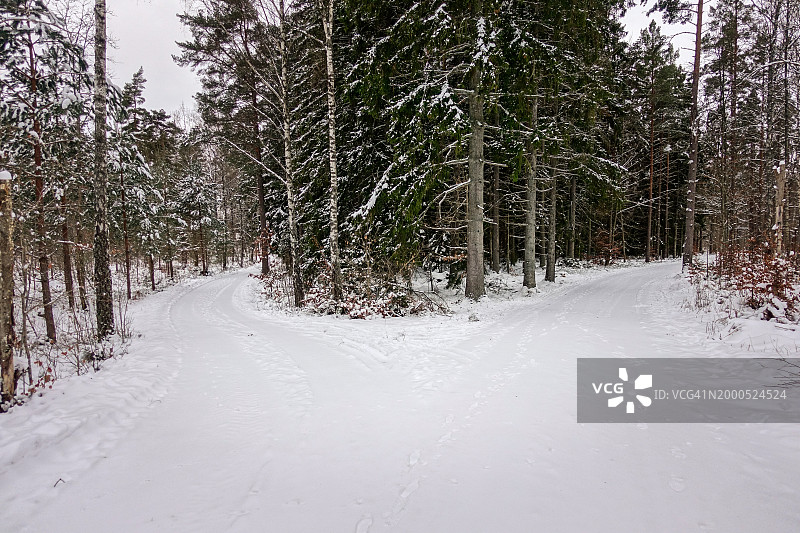 一条冬天分成两条路的土路图片素材