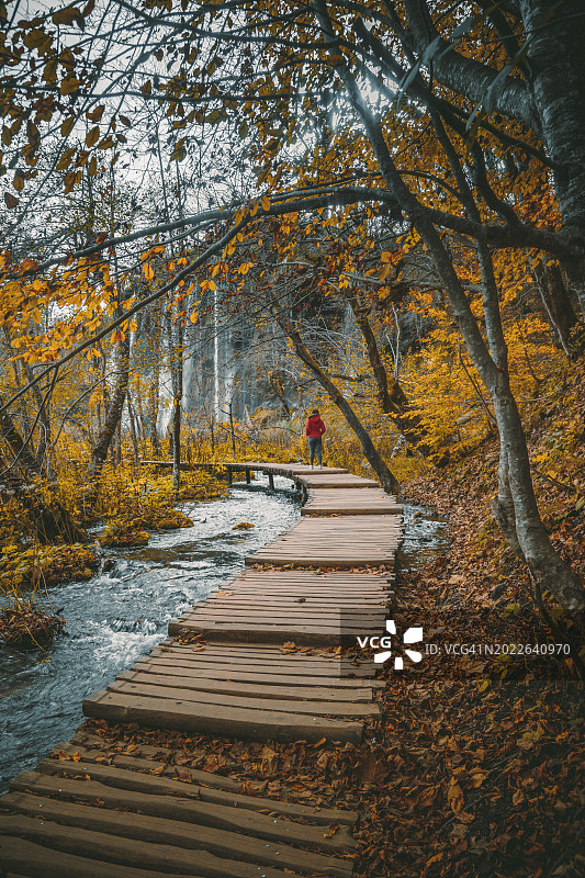 在克罗地亚的普利特维采湖国家公园里，年轻的女游客沿着森林小径漫步，欣赏着秋色的大自然之美图片素材