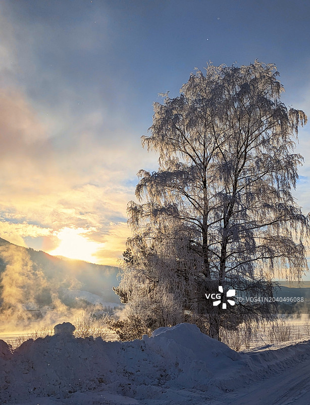日落时分，挪威维肯的莫德姆，白雪覆盖的田野上的树木映衬着天空图片素材