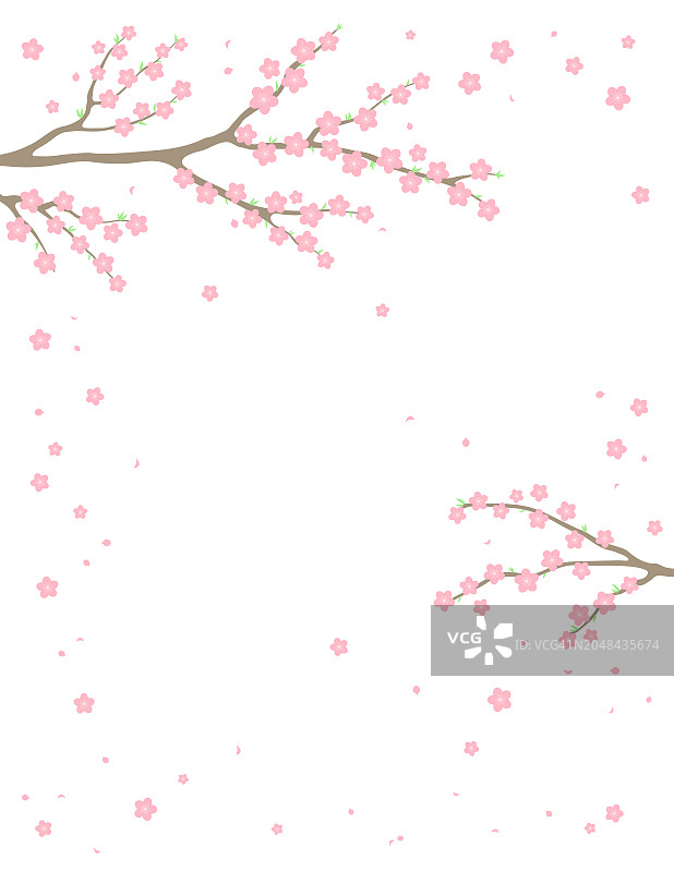 春暖花开，树枝在绽放的背景图片素材