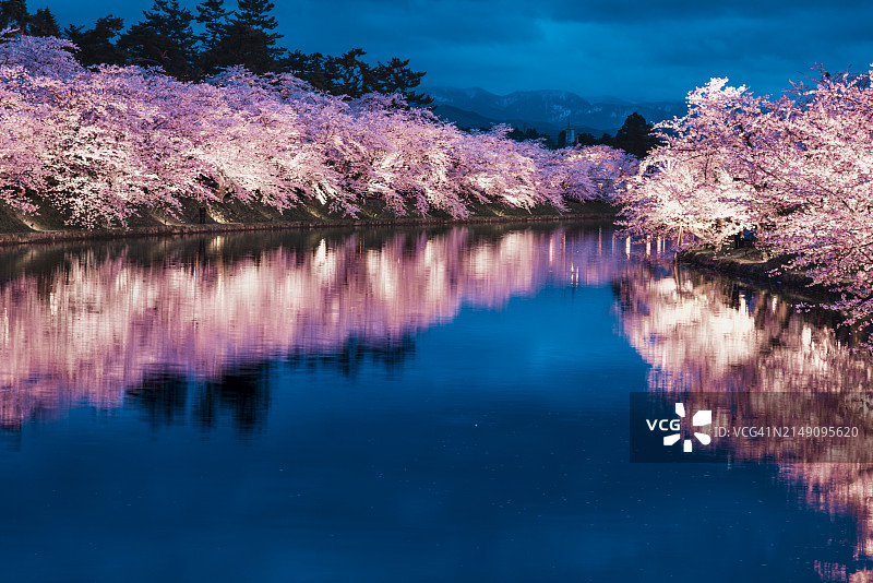 樱花盛开季节的广崎公园图片素材
