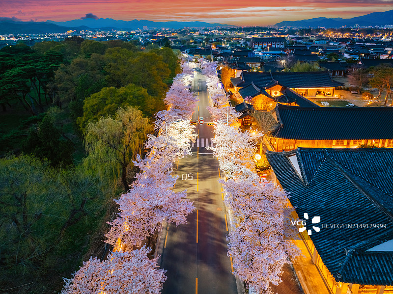 庆州陵附近大街上的樱花鸟瞰图图片素材