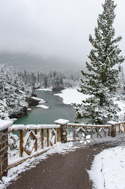 班夫弓河步道上一个下雪的早晨的自然景观图片素材