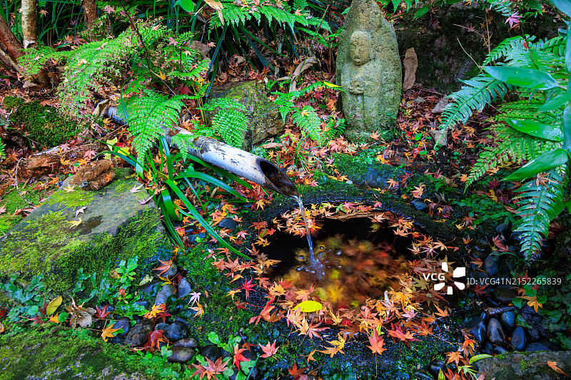 一个漂亮的石制洗脸盆和一座古老的石制佛像坐落在瑞森寺门口。在秋叶季节，石水盆周围散落着秋叶，非常美丽。图片素材