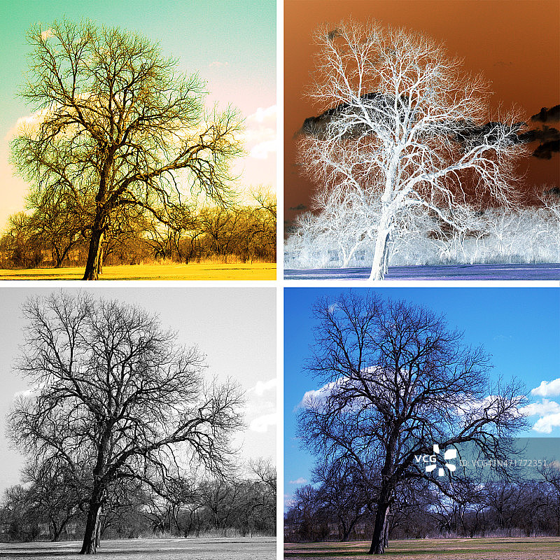 树木的季节图片素材