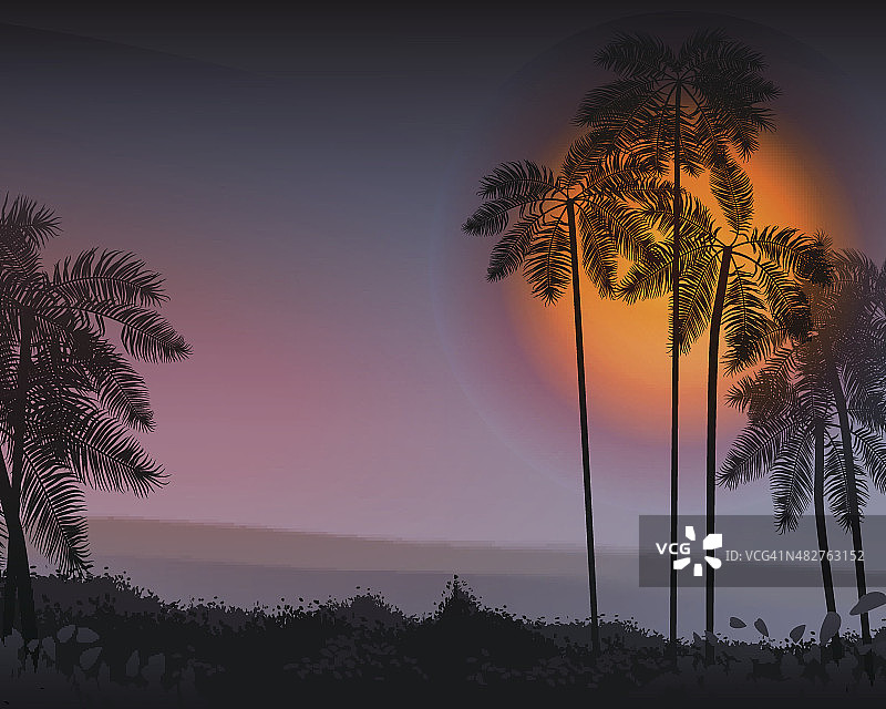 夏天的夜晚。晚上的棕榈树。矢量图图片素材