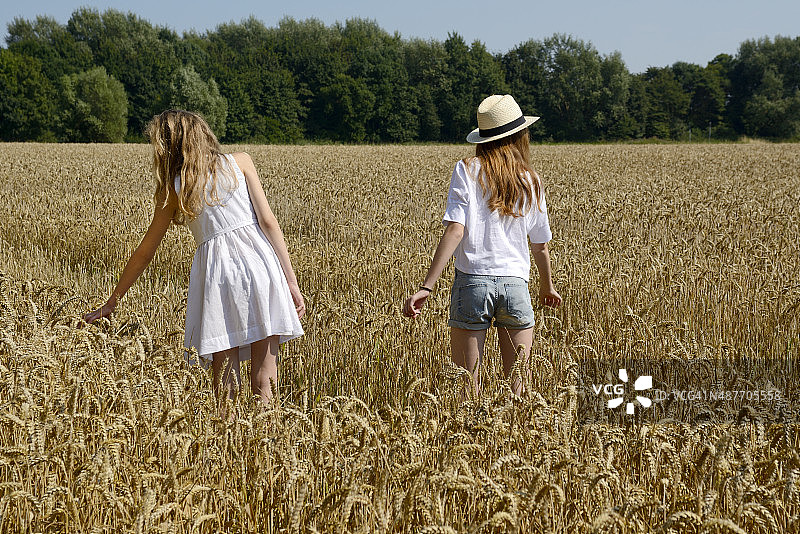 两个十几岁的女孩站在成熟的大麦地里图片素材