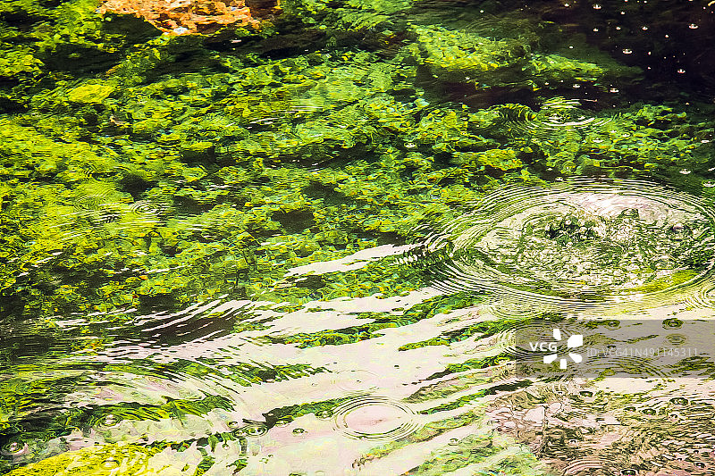 温泉间歇泉的矿物形成与藻类图片素材