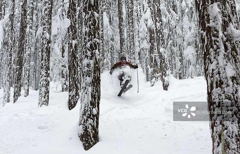 自由滑雪者在森林里滑行图片素材