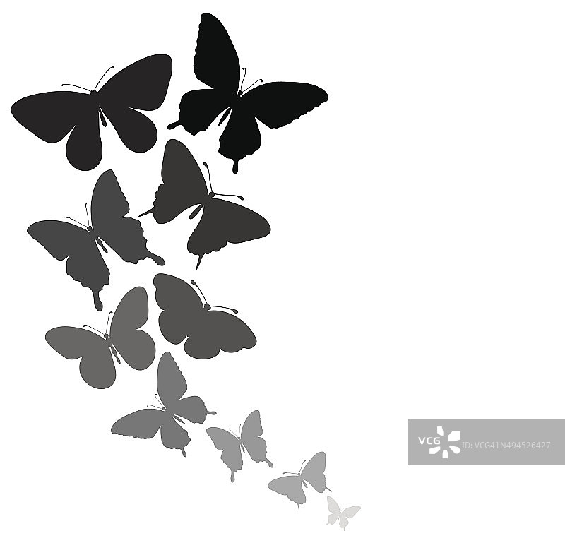 背景与蝴蝶的边界飞舞。图片素材