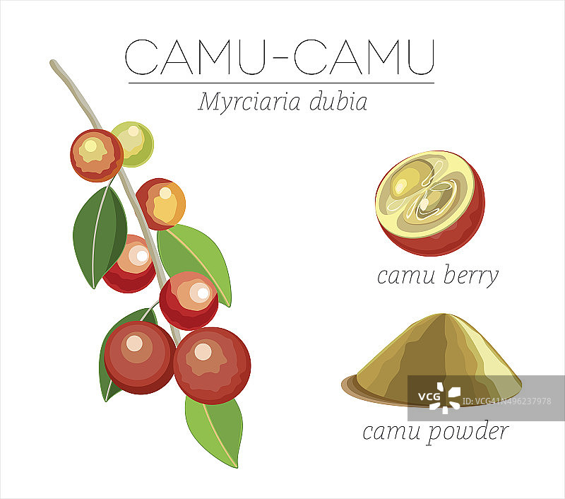 Camu超级食物图片素材