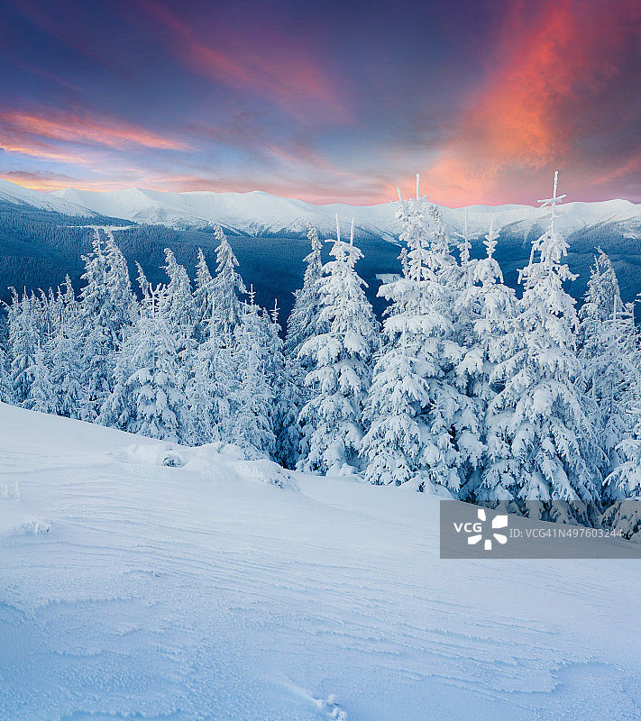 喀尔巴阡山脉五彩缤纷的冬季景色。图片素材