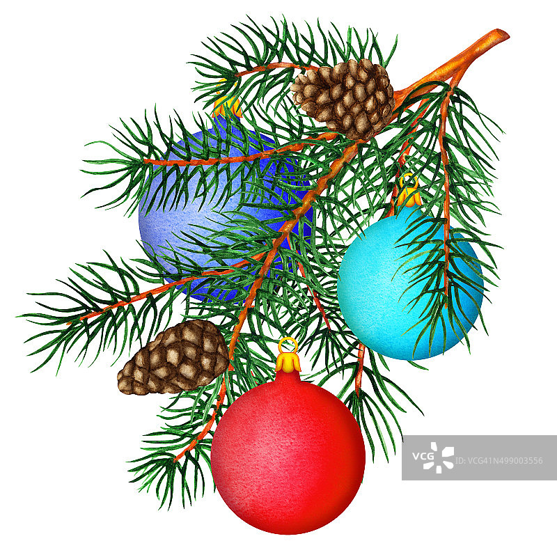 水彩松树树枝，球，球果图片素材
