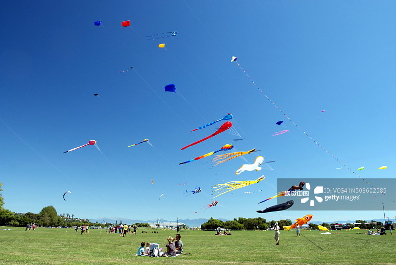 纳尔逊风筝节，新西兰图片素材