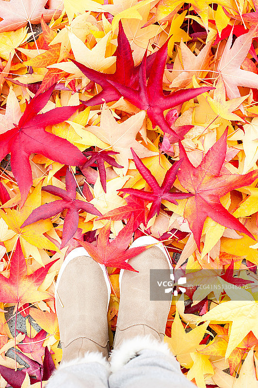 靴子上鲜艳的秋天黄色枫叶。秋天的季节。图片素材