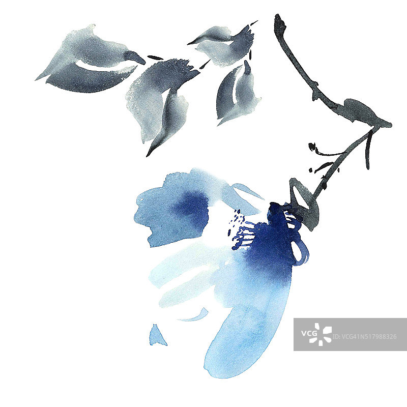 蓝色花朵插图图片素材