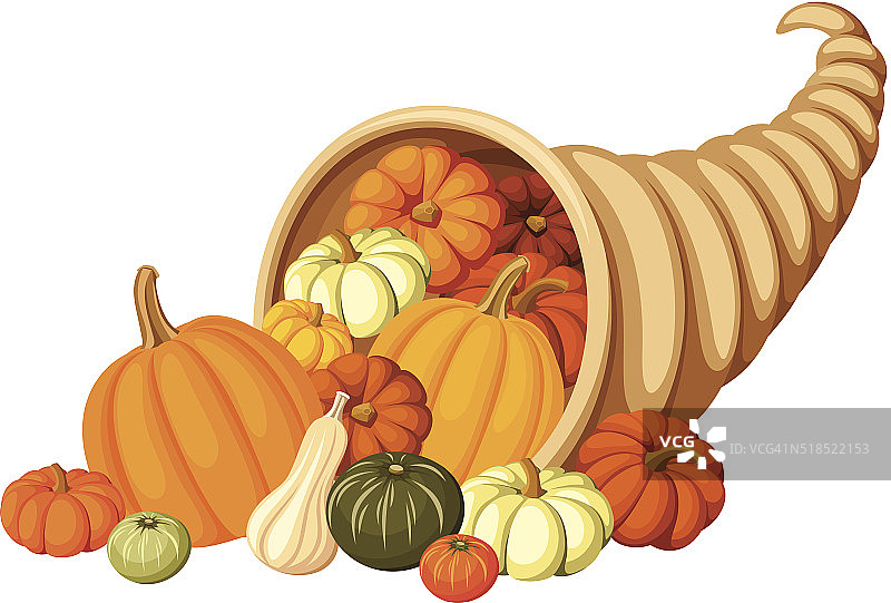 秋天的丰果(丰富的角)与南瓜。矢量插图。图片素材