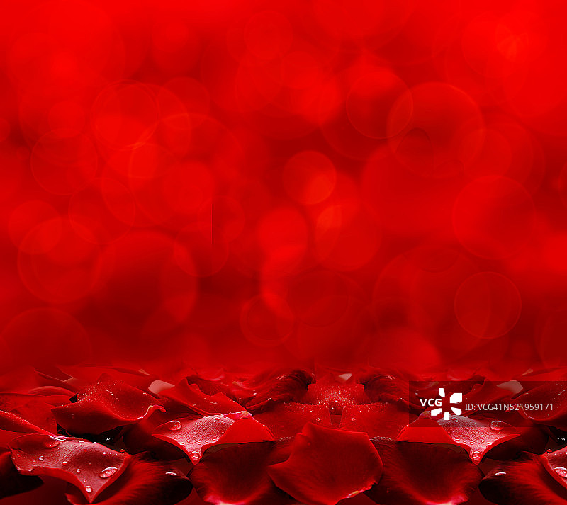 红色的玫瑰花瓣。图片素材