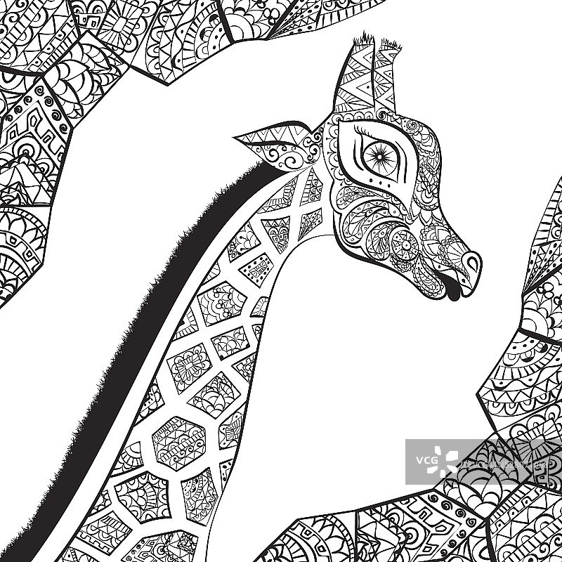 手绘装饰波西长颈鹿插图。非洲的动物图片素材