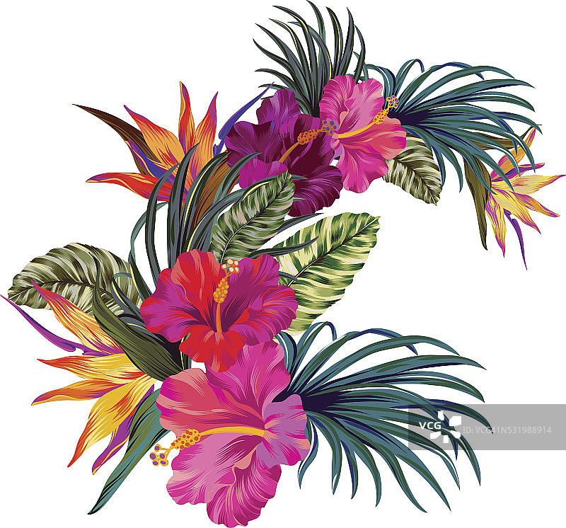 向量热带花束图片素材