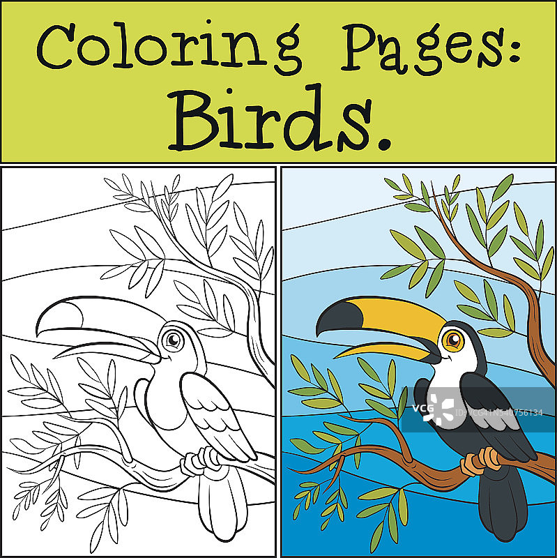 着色页:鸟类。小可爱的巨嘴鸟。图片素材