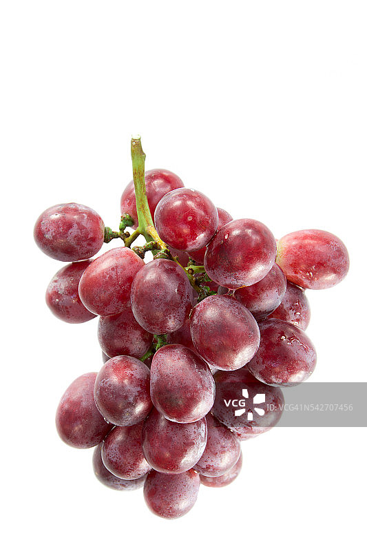 红色的葡萄上结着白色的果实图片素材