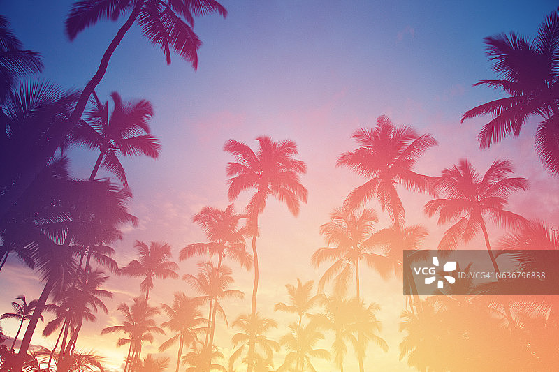 日落在热带地区。椰子树和绿松石海图片素材
