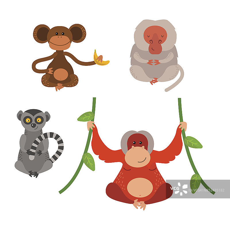 不同类型的猴子珍稀动物载体集图片素材