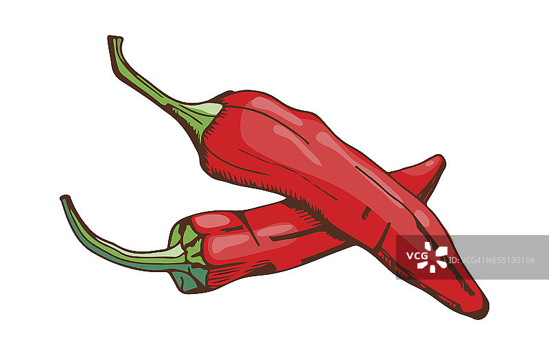 红辣椒食品调味料手绘风格蔬菜配料辣椒、辣、鲜、素色有机配料矢量插画图片素材